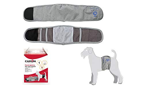 Camon We Love Pets Inkontinenzgürtel für Hunde -Grey-Größe 3 - Zubehör, Zubehör, Spiele und Tierfutter