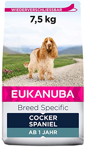 Eukanuba Premium Hundefutter für Cocker Spaniel, Trockenfutter mit Huhn (1 x 7,5 kg)
