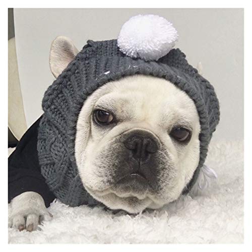 Z-LIANG Niedlicher Hund Hut Gestrickt Bequemer Stoff Elastische Hund Zubehör Koreaner Hut Helm Mode Persönlichkeit Hund Hüte (Color : Gray)