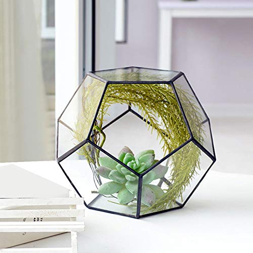 Oyunngs Glas Geometrisches Terrarium, Geometrische Form Glas Blumentopf Sukkulenten Pflanze Pflanzgefäß Container Landschaft Dekoration (Keine Pflanzen enthalten)