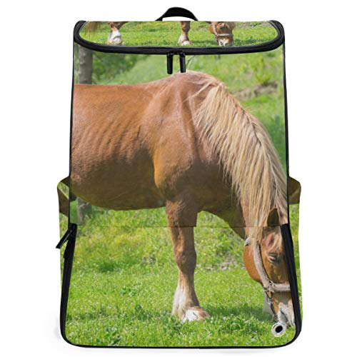 FANTAZIO Laptoprucksack für unterwegs, für Pferde und Gras, strapazierfähig, für Schule und Schule, für Outdoor, Camping, passend für bis zu Notebook