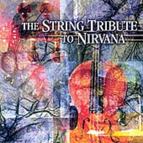 String Quart Tribute to Nirvan