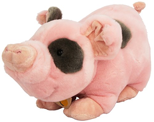 Unbekannt Plüsch Plüschtiere & Company 05918 – – Pig rovys – 33 cm