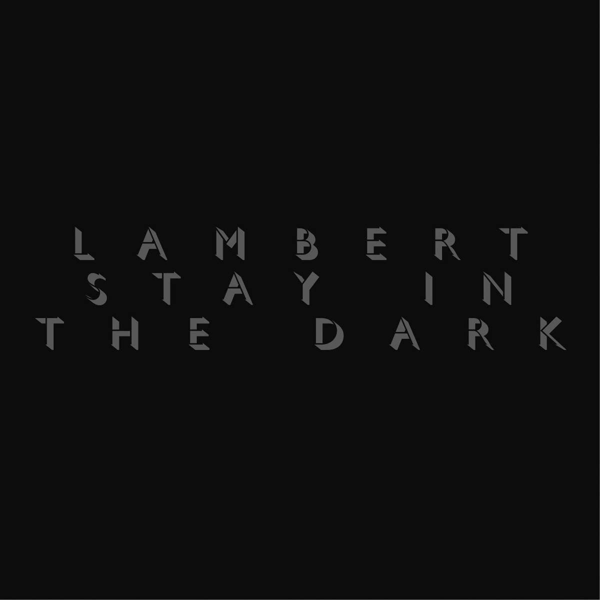 Stay in the Dark [Vinyl LP]