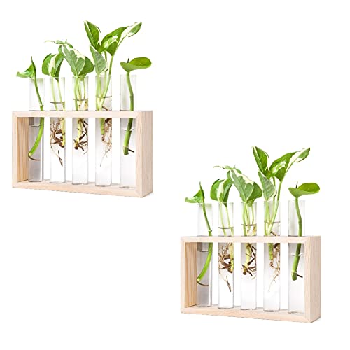 Plumflex Pflanzen Vermehrungs Stationen, Pflanzen Terrarium mit HolzstäNder für Vermehrung Von Hydroponik Pflanzen Halter Haus Dekoration B
