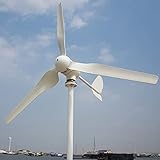 Genway 1000W Windkraftanlage 12V 24V 48V Windgenerator Kits Horizontale Windturbine 3 Blätter Windräder mit MPPT Laderegler Home Energy Windmühle