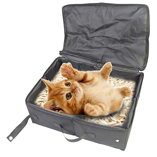 Dificato Katzentoilette mit Deckel, faltbar, für Reisen, für Katzen im Auto, tragbare Toilette zum Autofahren, Camping, Picknick, 10 Stück
