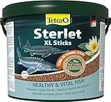 Tetra Pond Sterlet XL Sticks – Futtersticks für größere im Gartenteich lebende Sterlets und Störe, berücksichtigen das natürliche Fressverhalten, 5 L Eimer