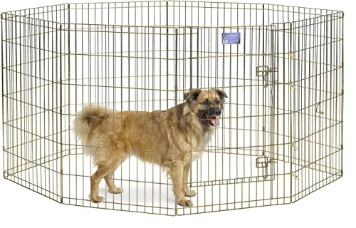 MidWest Homes for Pets Midwest Exercise Pen mit Tür, 91,44 cm, Gold