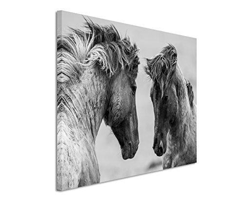 Unique Fotoleinwand 120x80cm Tierbilder – Kämpfende Pferde schwarz weiß