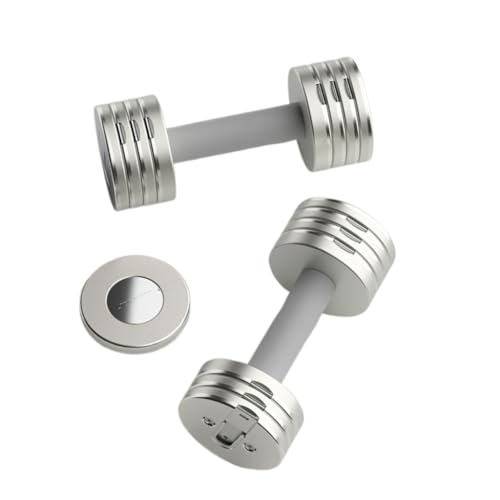 Hantel Hanteln For Männer Und Frauen, Heimfitnessgeräte, Belastbare, Verstellbare Und Abnehmbare Kleine Hanteln Dumbbell (Color : Gray, Size : 10KG)