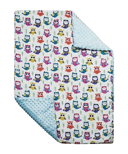 Balbina Baby Kinder Kuscheldecke 75x100 cm|doppelseitig weich Minky+Baumwolle mit Füllung|Krabbel- Kinderwagendecke Blanket (Bunte Eulen Himmelblau)