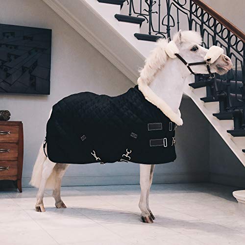 Kentucky Horsewear Tiny Show Rug Turnierdecke Pony mit künstlichem Kaninchenfell 160g, Größe:70, Farbe:schwarz