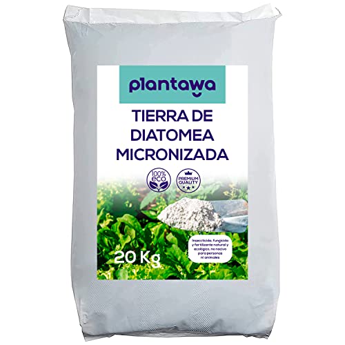 PLANTAWA Kieselgur Pulver 20kg | Pflanzenerde für Ihren Gemüsegarten | Hohe Qualität für Gleichmäßige Anwendung | 100% Natürliches Saatgutkonservierungsmittel | Frei von Schädlingen und Unkraut