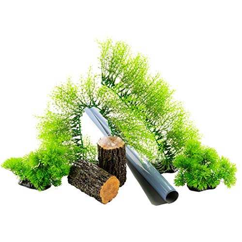 Tetra® Connect™ Forest Décor Bundle