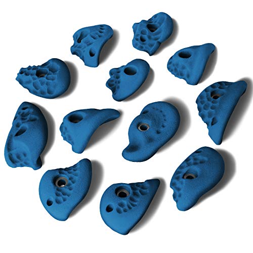 ALPIDEX 12 L Klettergriffe im Set verschieden geformte Henkelgriffe in vielen Farben, tolle Strukturen, mitteltiefe Hinterschneidungen, Farbe:Balance Blue