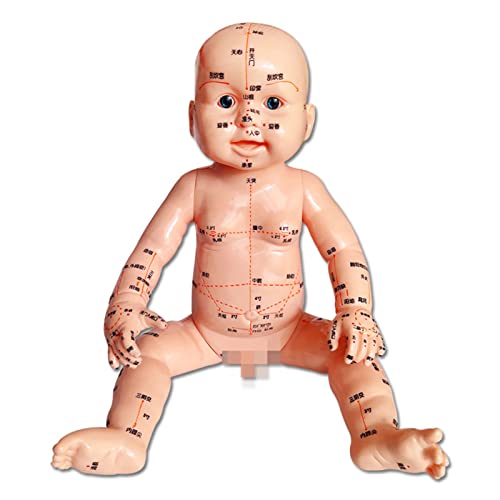 Pädiatrisches Massage-Puppenmodell – 50 cm Akupunkturpunkt-Puppenmodell – mit Akupunkturpunkt, für chinesische Medizin Meridiane Lernwerkzeug (A)