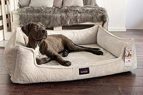 tierlando® Orthopädisches Hundebett Franklin | Hochwertiges Hundesofa | Kuscheliger Teddy-Stoff XL+ (130x100 cm) | 14 Beige