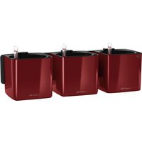 Lechuza 13525 Green Wall Home Kit Glossy, Scarlet Red