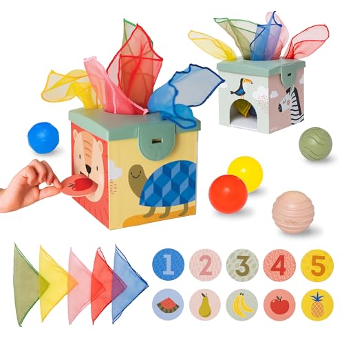 Taf Toys 12965 - Magic Box