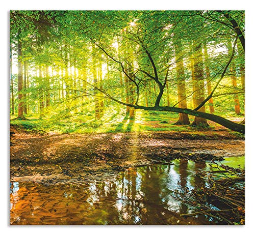 Artland Spritzschutz Küche aus Alu für Herd Spüle 55x60 cm Küchenrückwand mit Motiv Natur Landschaft Wald Bäume Sonne Bach Landhaus Grün T9IO