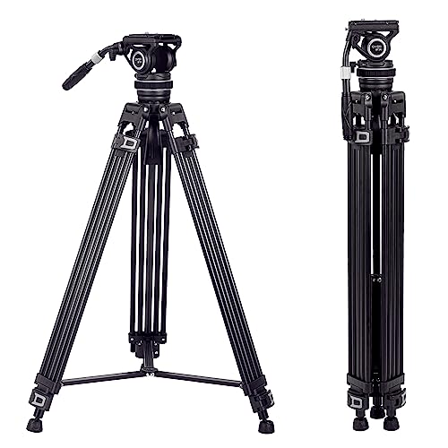 Cayer Heavy Duty Stativ, 74" Professionelles Videostativ mit Fluidkopf, Aluminium Stativkopf mit einstellbarer Pan Drag Control, 2-Section Pan Handle, Max Load 22 lbs für DSLR,Camcorder, Kameras,BF310