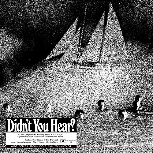 Didn'T You Hear? [Vinyl LP]
