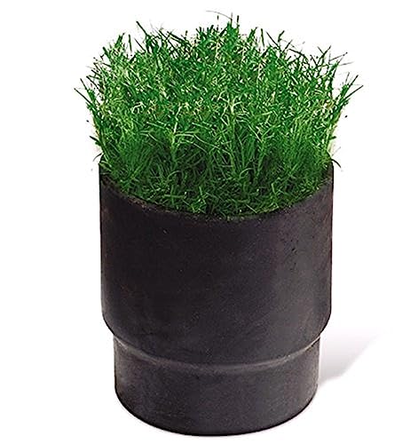 RainBird SC Sod Cup für 8005 Typenreihe Versenkregner, Schwarz, 10 x 9 x 9 cm