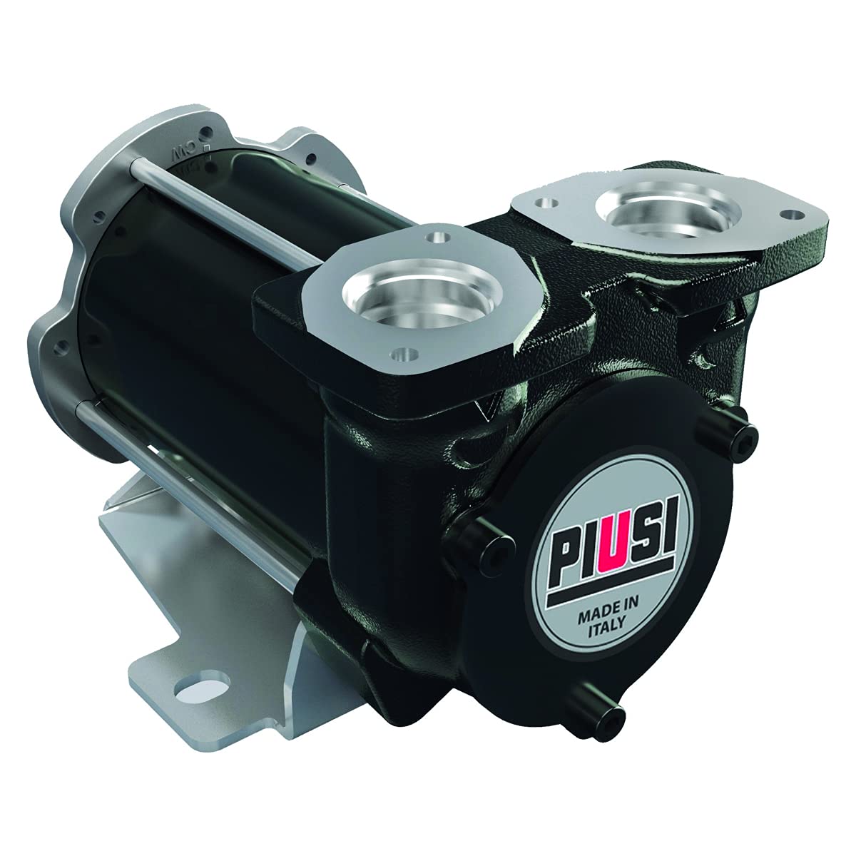 PIUSI Einfache Dieselpumpe selbstansaugend mit 12V Palette, Fördermenge 50 Liter/Minute mit Flanschanschluss | BP3000 F00342000