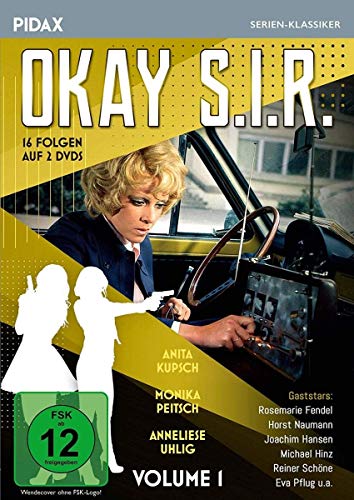 Okay S.I.R., Vol. 1 / 16 Folgen der beliebten Krimi-Serie (Pidax Serien-Klassiker) [2 DVDs]
