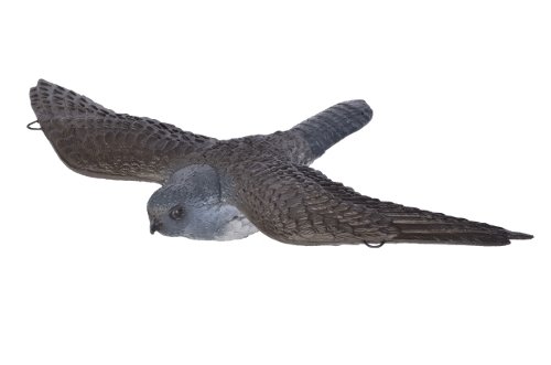 Franzbogen - Fliegender Falke; Ziel BZW. Zielscheibe für den Bogensport, Bogenschießen, Pfeil und Bogen, Armbrust Sport, aus hochwertigem langlebigen Material in 3D