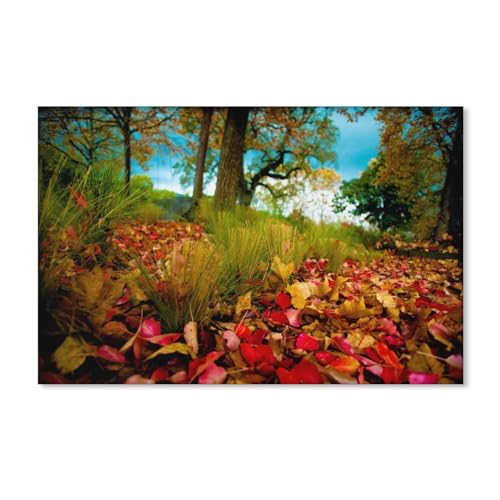 Puzzle 1000 Teile Erwachsene，Herbstwald, Herbstblätter auf dem Gras，Holz Puzzle（75x50cm）-A397