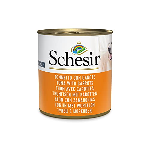 Schesir Thunfisch mit Karotten in Gelee für Hunde 16 x 285 g