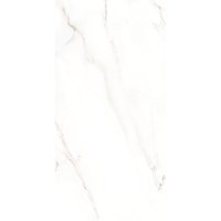 Bodenfliese Feinsteinzeug Calacatta 60 x 120 cm weiß