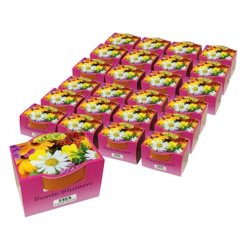 Bull & Bear 25er Set Minipflanzset Bunte Blumen, Blumensamen im Topf 40mm, Mini Blumen als Anzuchtset mit Pflegeanleitung