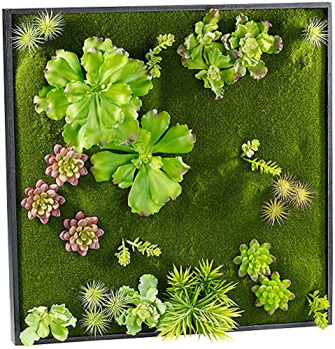Carlo Milano Pflanzenbilder: Vertikaler Wandgarten Kurt mit Deko-Pflanzen, 60 x 60 cm (Garten an der Wand)