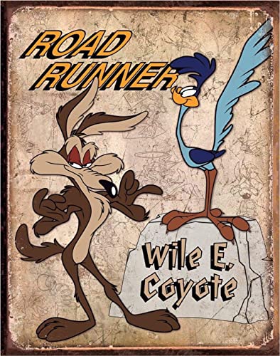 Desperate Enterprises Blechschild Road Runner & Wyle E Coyote, 33 x 41 cm