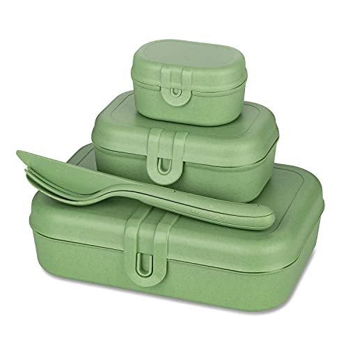 PASCAL READY Lunchbox-Set + Besteck-Set Lunchboxen grün