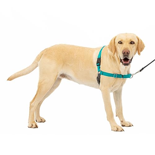 PetSafe Easy Walk Hundegeschirr, Größe L, Blaugrün