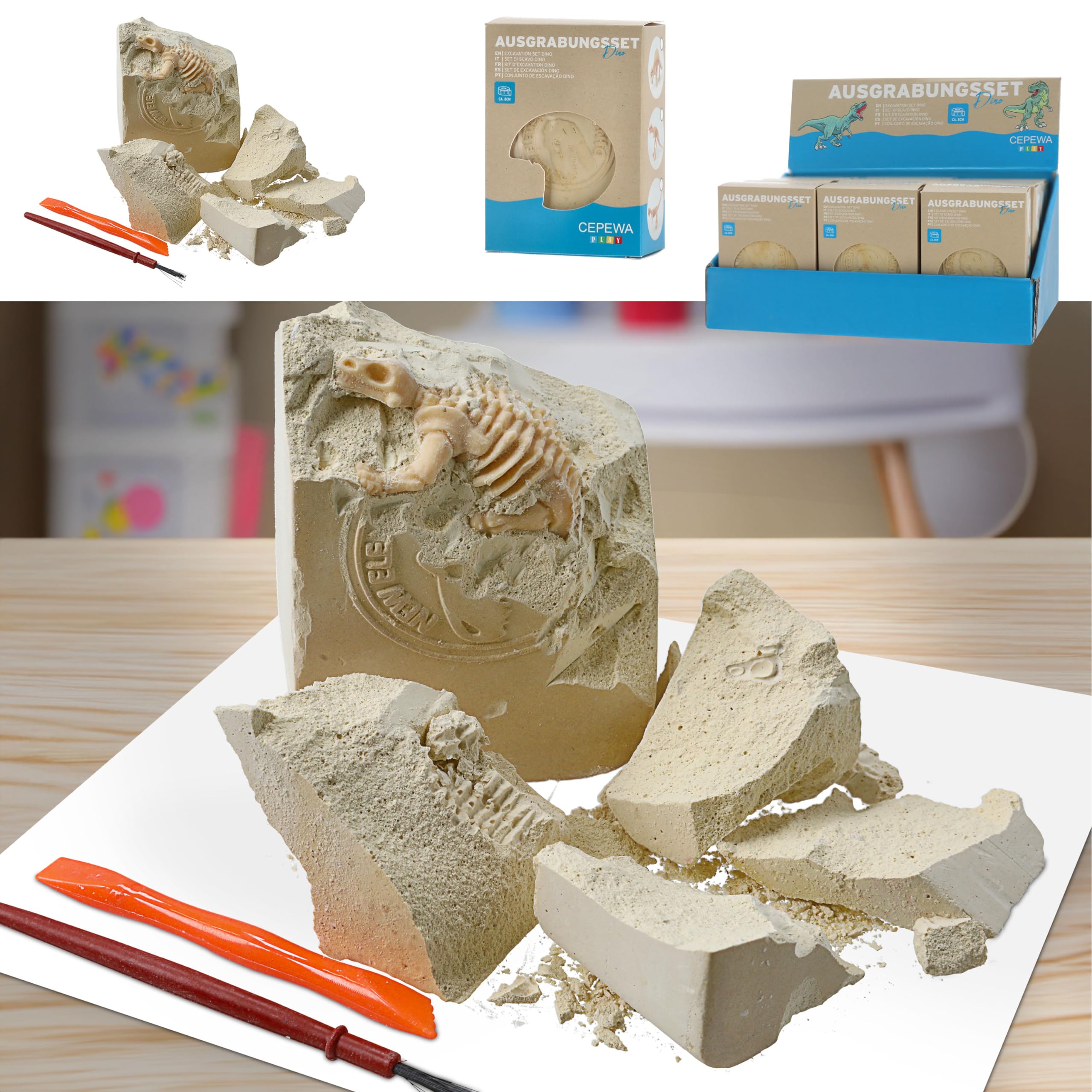 Ausgrabungsset Dinoskelett 12er Set Display | Gips Meißel Pinsel 13x3cm 5 Steine | Experimentierbox Archäologie (1 x 12er Set Ausgrabungsset Dinos)
