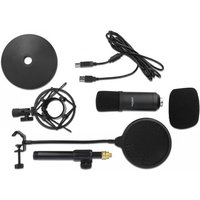DeLOCK Professional USB Condenser Microphone Set for Podcasting and Gaming - Mikrofon - USB - Schwarz (66300)