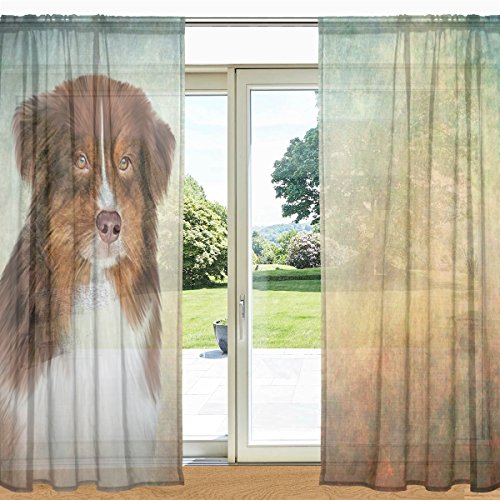 alaza Australian Shepherd Dog Printed Sheer Fenster und Tür-Vorhang 2 Panels 55" x 84", Rod Pocket-Panels