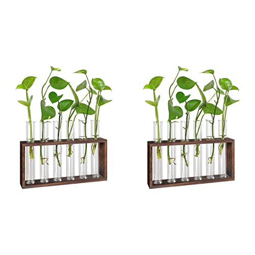 CENMEN 2 x Pflanzen-Terrarium mit Holzständer, Desktop/Wandbehang, lebende Pflanzstation, Pflanzgefäße, Glasröhren