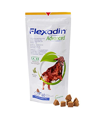 Vetoquinol - Flexadin Advanced Diät-Ergänzungsfuttermittel für Hunde 60 Chews, 1er Pack (1 x 0.20 kilograms)