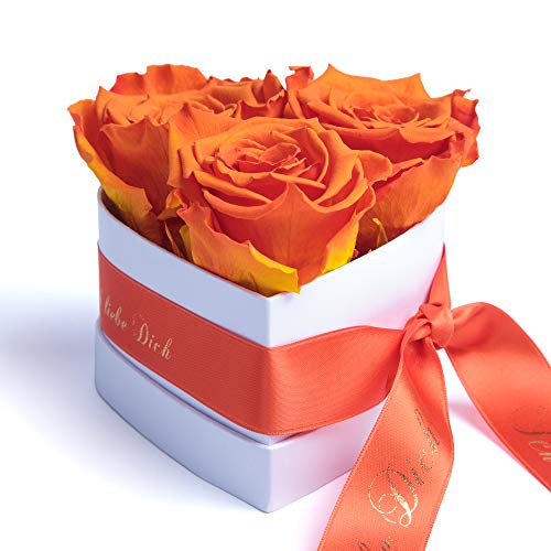 Infinity Rosen Rosenbox Herz - 10 x 12 cm 3 konservierte Orange Rosen haltbar 3 Jahre - Geschenke zum Valentinstag für Sie - Rosemarie Schulz Heidelberg (Orange, Small)