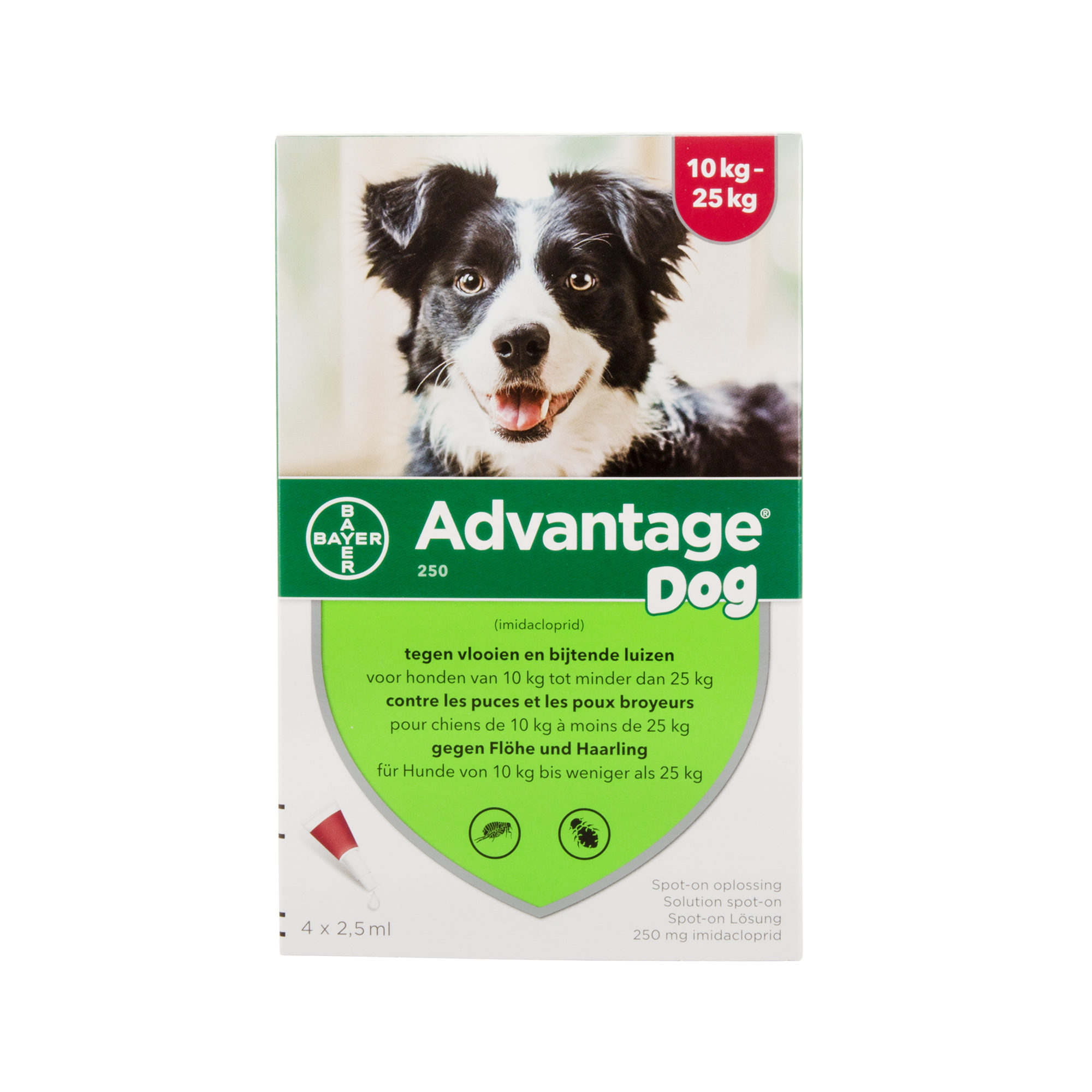 Advantage 100 Hund - 4-10 kg - 4x 1 ml