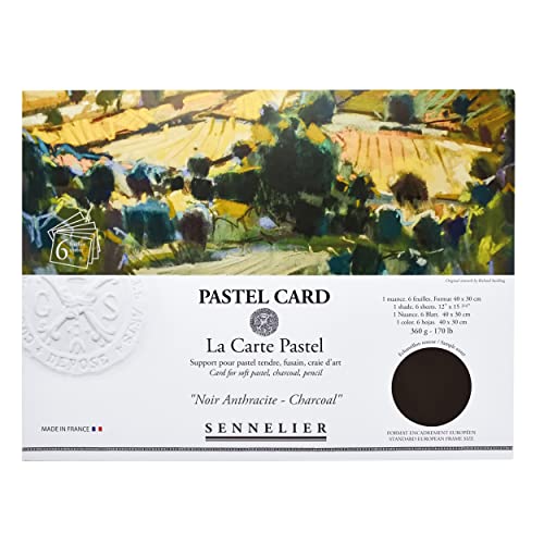 Sennelier La Carte Pastellkarten-Pochette, 40 x 27,9 cm, monochromatisch, Anthrazit