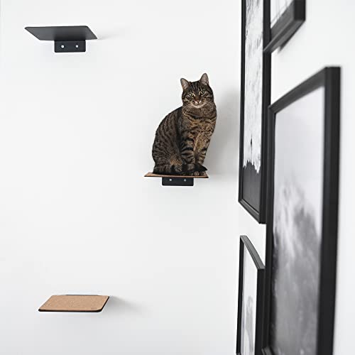 LucyBalu Katzentreppe Steps XL 3er Set I Individuelle Kletterwand für Katzen bis 10 kg I Kletterstufen für die Wand im Innenbereich (XL Anthrazit ohne Kork)