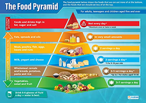 Daydream Education Lernposter „Food Pyramid“ (Lebensmittelpyramide), laminiertes Hochglanzpapier, 850 x 594 mm (A1), Wissenschaftsposter für Klassenzimmer, Lehrposter, englische Version