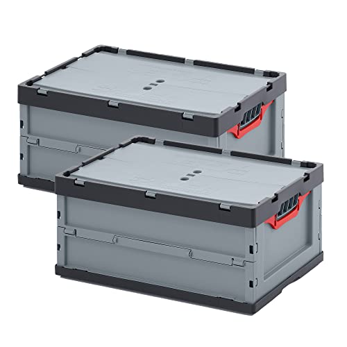 Auer Faltbox 2er Set FBD 64/27 + Klappdeckel, 60x40x27cm, 56L | Klappbox stapelbar Kunststoffbox Euromaß | Transportbox Lagerbox Aufbewahrungsbox Lebensmittelbox Camping